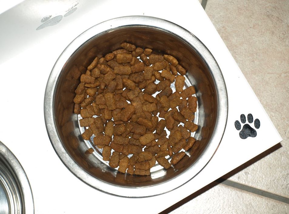 Qualitatives Trockenfutter für Ihren Hund