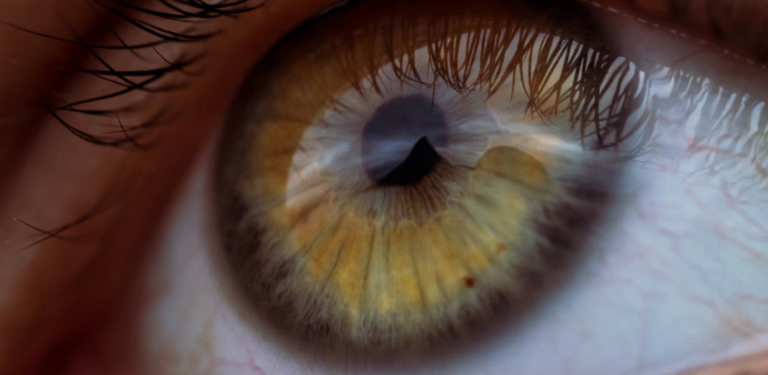 Das richtige Zubehör für Kontaktlinsen