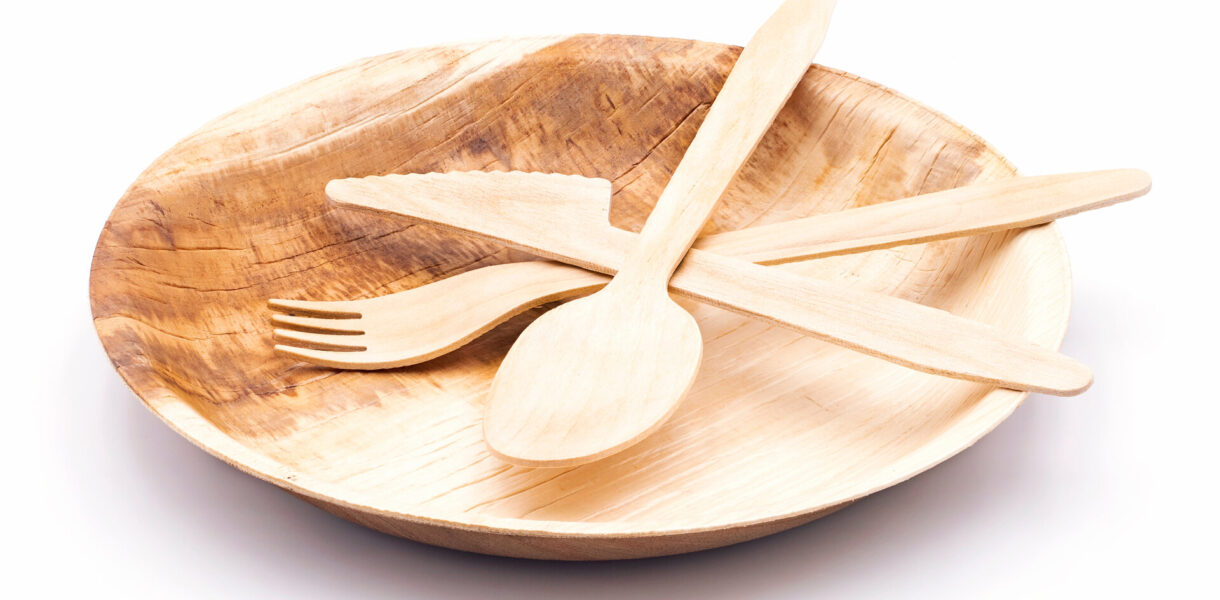 Bio Einweggeschirr aus Palmblatt mit Besteck aus Holz