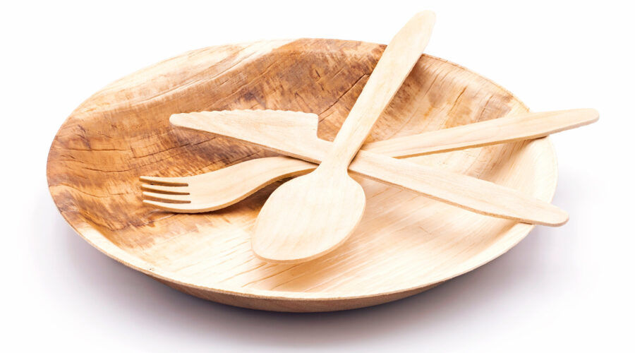Bio Einweggeschirr aus Palmblatt mit Besteck aus Holz